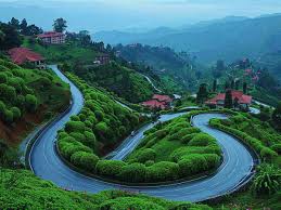 Delhi – Kasauli 5-6 Hrs (287 km)